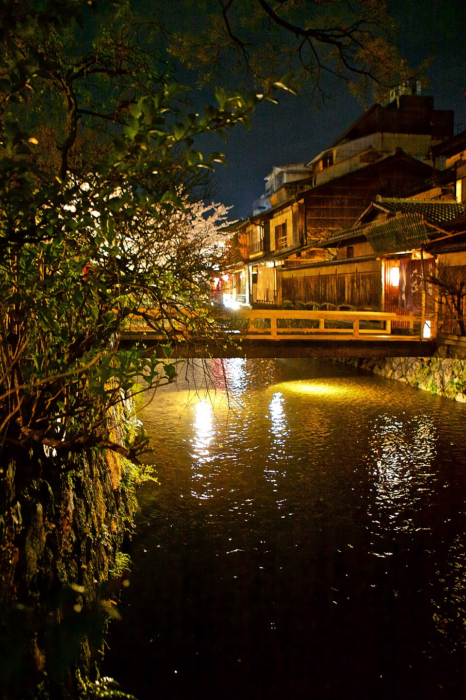Canal Shirakawa de noche